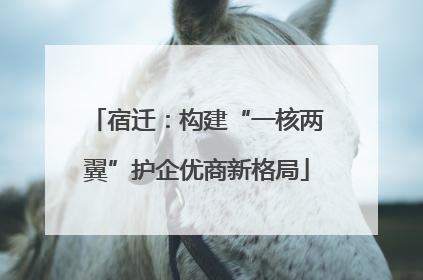 宿迁：构建“一核两翼”护企优商新格局
