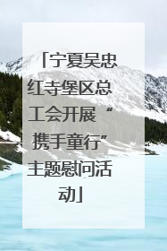 宁夏吴忠红寺堡区总工会开展“携手童行”主题慰问活动