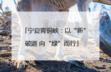 宁夏青铜峡：以“新”破题 向“绿”而行