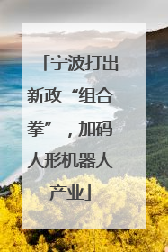 宁波打出新政“组合拳”，加码人形机器人产业