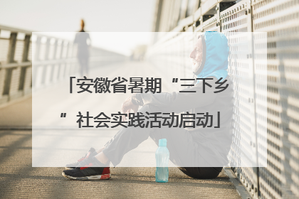 安徽省暑期“三下乡”社会实践活动启动