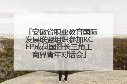 安徽省职业教育国际发展联盟组织参加RCEP成员国暨长三角工商界青年对话会