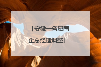 安徽一省属国企总经理调整