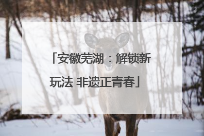 安徽芜湖：解锁新玩法 非遗正青春