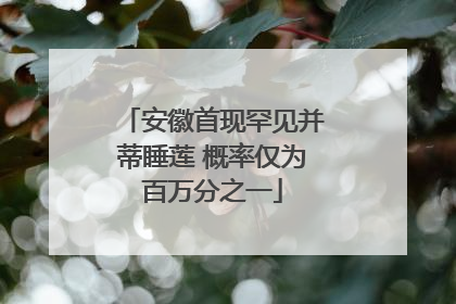 安徽首现罕见并蒂睡莲 概率仅为百万分之一