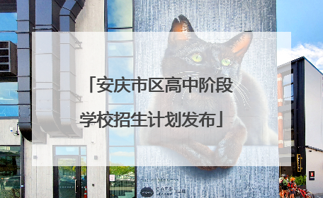安庆市区高中阶段学校招生计划发布