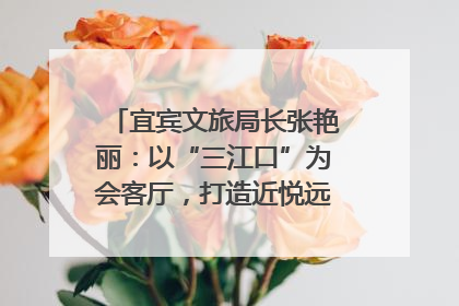 宜宾文旅局长张艳丽：以“三江口”为会客厅，打造近悦远来的国际旅游城市｜文旅局长说