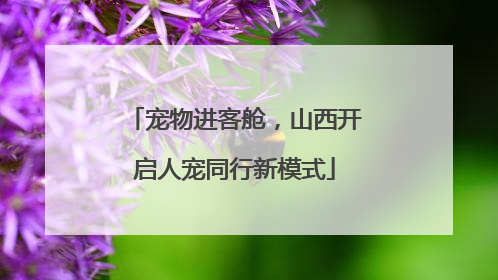 宠物进客舱，山西开启人宠同行新模式