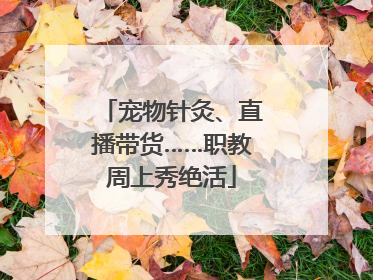 宠物针灸、直播带货……职教周上秀绝活