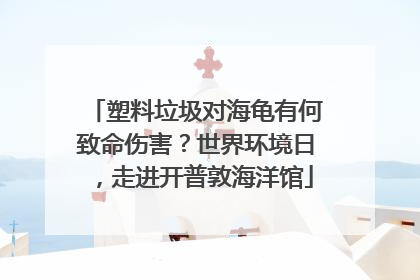 塑料垃圾对海龟有何致命伤害？世界环境日，走进开普敦海洋馆