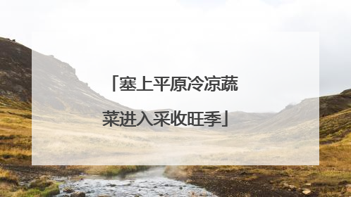 塞上平原冷凉蔬菜进入采收旺季