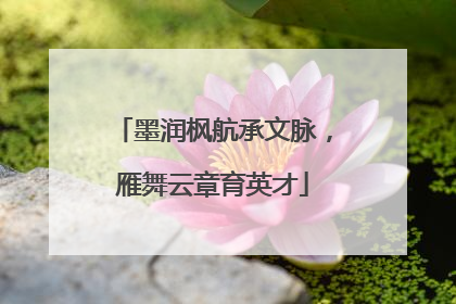墨润枫航承文脉，雁舞云章育英才