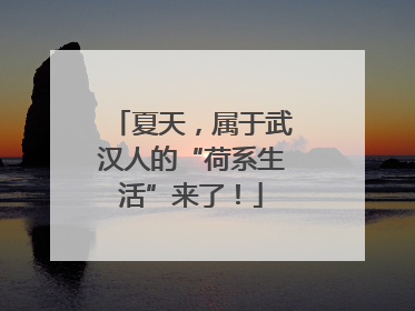 夏天，属于武汉人的“荷系生活”来了！