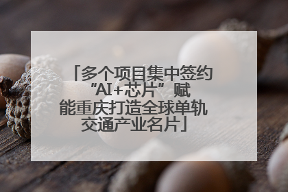 多个项目集中签约 “AI+芯片”赋能重庆打造全球单轨交通产业名片
