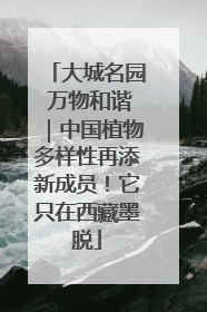 大城名园 万物和谐｜中国植物多样性再添新成员！它只在西藏墨脱