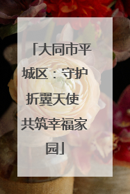 大同市平城区：守护折翼天使 共筑幸福家园