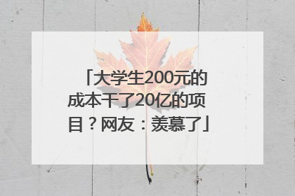 大学生200元的成本干了20亿的项目？网友：羡慕了