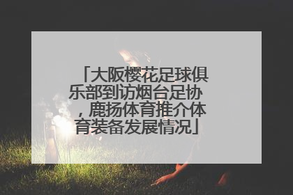 大阪樱花足球俱乐部到访烟台足协，鹿扬体育推介体育装备发展情况