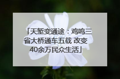 天堑变通途：鸡鸣三省大桥通车五载 改变40余万民众生活