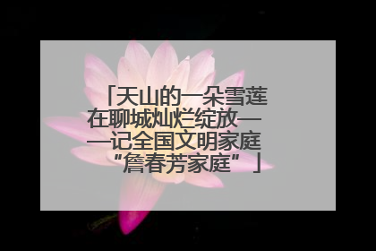 天山的一朵雪莲在聊城灿烂绽放——记全国文明家庭“詹春芳家庭”