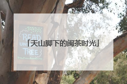天山脚下的闽茶时光
