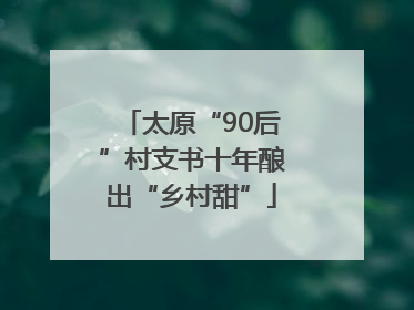 太原“90后”村支书十年酿出“乡村甜”