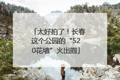 太好拍了！长春这个公园的“520花墙”火出圈