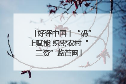 好评中国丨“码”上赋能 织密农村“三资”监管网