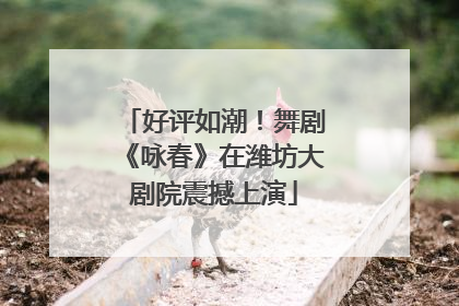 好评如潮！舞剧《咏春》在潍坊大剧院震撼上演