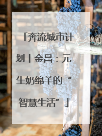 奔流城市计划丨金昌：元生奶绵羊的“智慧生活”