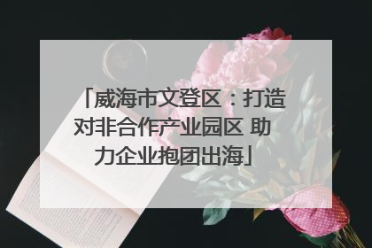 威海市文登区：打造对非合作产业园区 助力企业抱团出海