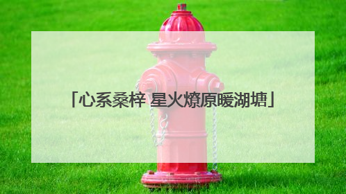 心系桑梓 星火燎原暖湖塘