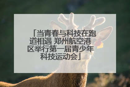 当青春与科技在跑道相遇 郑州航空港区举行第一届青少年科技运动会