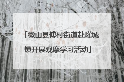 微山县傅村街道赴驩城镇开展观摩学习活动