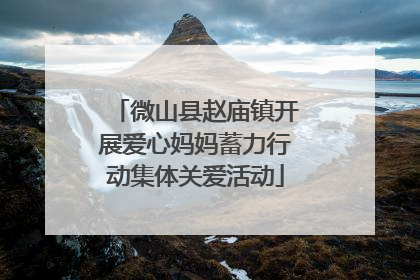 微山县赵庙镇开展爱心妈妈蓄力行动集体关爱活动