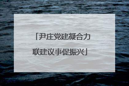 尹庄党建凝合力 联建议事促振兴