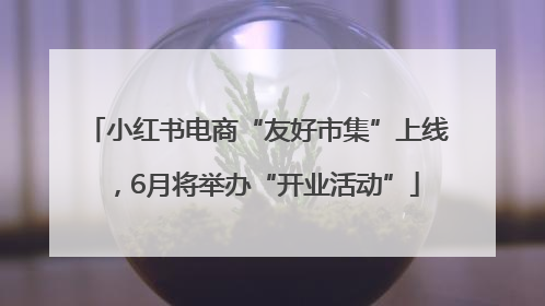 小红书电商“友好市集”上线，6月将举办“开业活动”