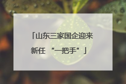 山东三家国企迎来新任 “一把手”