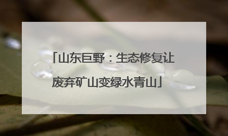 山东巨野：生态修复让废弃矿山变绿水青山