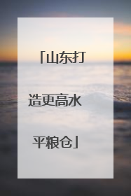 山东打造更高水平粮仓