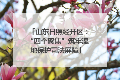 山东日照经开区：“四个聚焦”筑牢湿地保护司法屏障