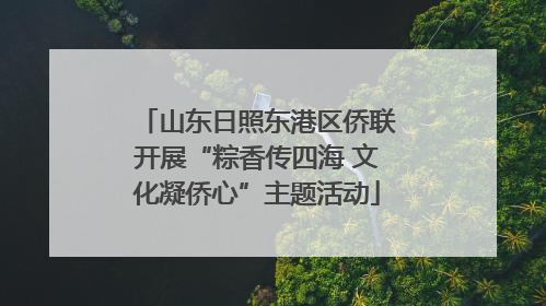 山东日照东港区侨联开展“粽香传四海 文化凝侨心”主题活动