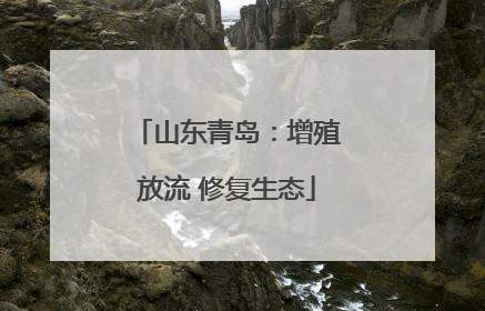 山东青岛：增殖放流 修复生态
