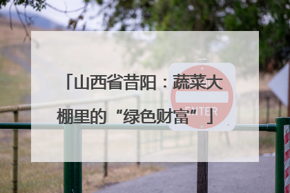 山西省昔阳：蔬菜大棚里的“绿色财富”