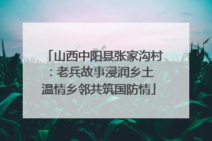 山西中阳县张家沟村：老兵故事浸润乡土 温情乡邻共筑国防情