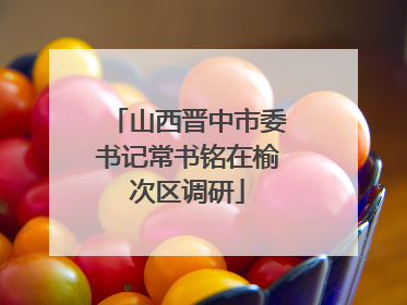 山西晋中市委书记常书铭在榆次区调研