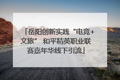 岳阳创新实践“电竞+文旅” 和平精英职业联赛嘉年华线下引流