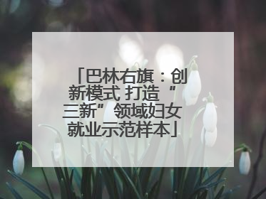 巴林右旗：创新模式 打造“三新”领域妇女就业示范样本
