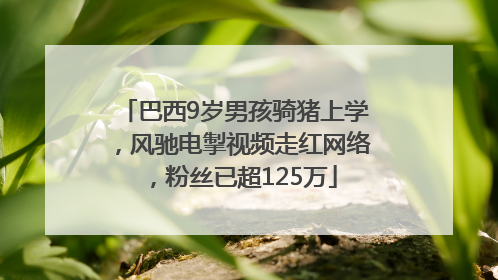巴西9岁男孩骑猪上学，风驰电掣视频走红网络，粉丝已超125万