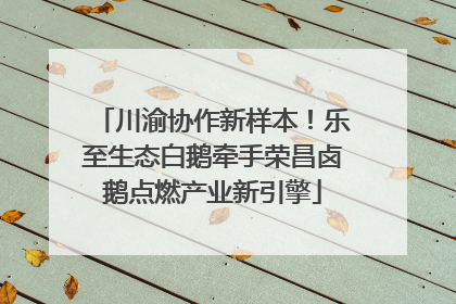 川渝协作新样本！乐至生态白鹅牵手荣昌卤鹅点燃产业新引擎